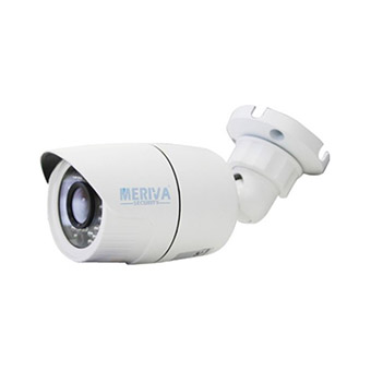 seguridad y vigilancia